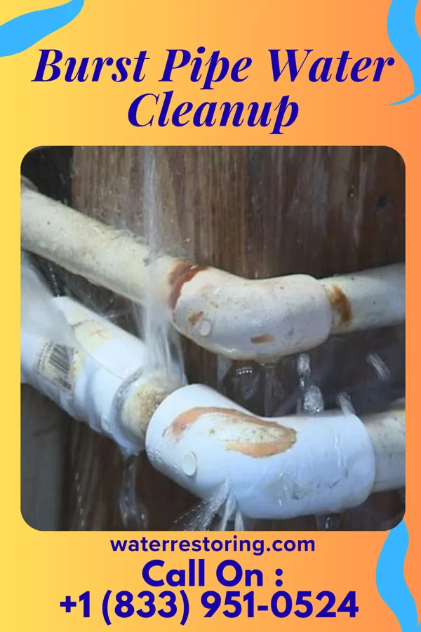 Burst Pipe Water Cleanup in Guy, AR