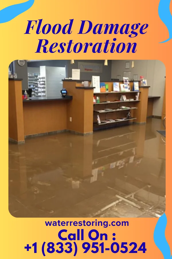 Flood Damage Restoration in Guy, AR